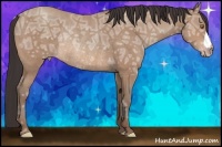 Horse Color:Sable Champagne Ice Rabicano 