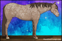 Horse Color:Classic Champagne Ice Roan 