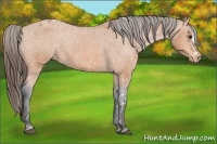 Horse Color:Bay Splash Tobiano Varnish Brindle