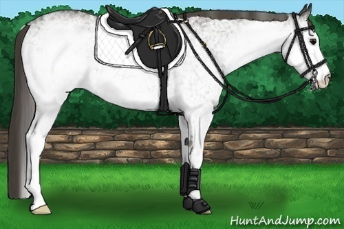 Horse Color:White Spotted Smoky Black