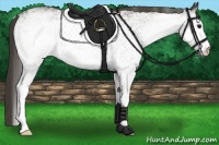 Horse Color:White Spotted Smoky Black 