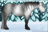 Horse Color:Gray Smoky Black 