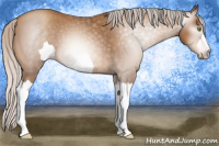 Horse Color:Gray Silver Sable Champagne 