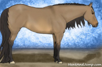 Horse Color:Buckskin Dun