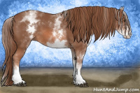 Horse Color:White Spotted Chestnut Sabino