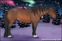 Horse Color:Bay Roan Rabicano 