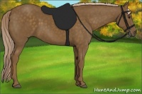 Horse Color:Chocolate Palomino 