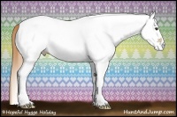 Horse Color:White Spotted Chestnut 