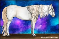 Horse Color:White Spotted Buckskin Pearl Sabino Snowcap 