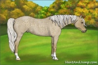 Horse Color:Silver Smoky Blue Roan 