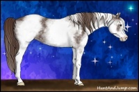 Horse Color:White Spotted Liver Red Roan 