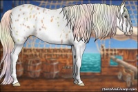 Horse Color:Nacre Palomino Splash Frame Near Leopard 