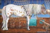 Horse Color:Nacre Silver Buckskin Splash Tobiano Frame Appaloosa 