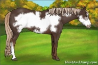 Horse Color:Liver Chestnut Frame 