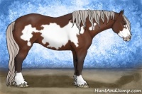 Horse Color:Silver Bay Frame 