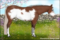 Horse Color:Silver Buckskin Frame 