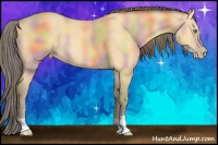 Horse Color:Nacre Amber Cream Champagne 