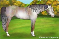 Horse Color:Gray Nacre Classic Cream Champagne 