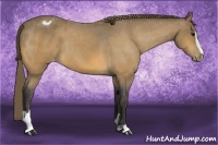 Horse Color:Buckskin Sabino Blanket 