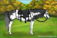 Horse Color:Black Splash Frame 