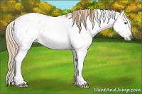 Horse Color:Liver Red Dun Sabino Blanket Rabicano 