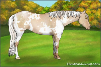 Horse Color:White Spotted Silver Grullo Pearl 