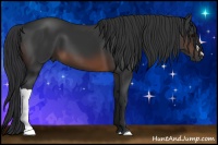 Horse Color:Brown 