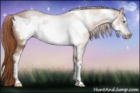 Horse Color:Red Roan Sabino Frame 