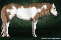 Horse Color:Chocolate Palomino Splash Frame 