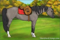 Horse Color:Grullo Roan 
