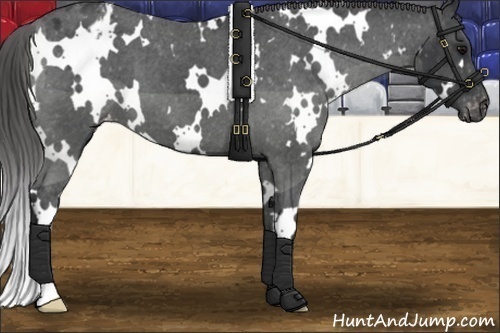 Horse Color: White Spotted Black Varnish 