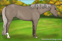 Horse Color:Silver Grullo 