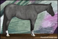 Horse Color:Liver Red Roan 