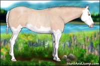 Horse Color:Silver Amber Champagne Roan Splash Rabicano 