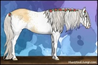 Horse Color:White Spotted Silver Buckskin Roan Dun 