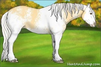 Horse Color:White Spotted Silver Buckskin Dun Splash 