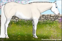 Horse Color:Silver Perlino Dun Sabino Splash 