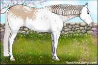 Horse Color:White Spotted Silver Bay Dun Splash