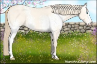 Horse Color:White Spotted Perlino Dun Sabino 