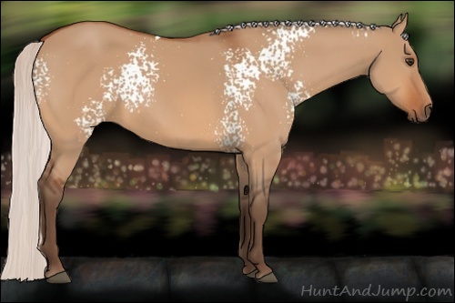 Horse Color: White Spotted Silver Bay Dun 