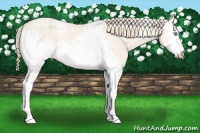 Horse Color:White Spotted Perlino Dun 