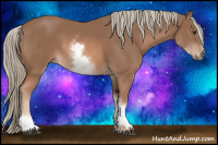 Horse Color:White Spotted Liver Chestnut Mushroom Sabino
