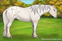 Horse Color:Chocolate Palomino Pearl Sabino Blanket Rabicano 