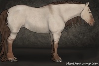 Horse Color:Liver Red Dun Roan 