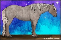 Horse Color:Silver Blue Roan 