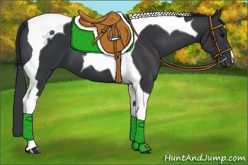 Horse Color:Unknown 