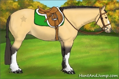 Horse Color:Unknown 