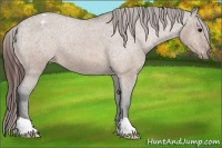 Horse Color:Brown Roan Dun Varnish 