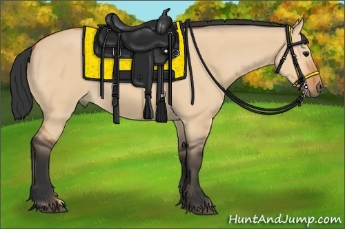 Horse Color:Bay Dun