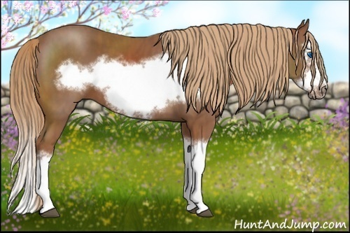 Horse Color: Chestnut Splash Frame  Brindle